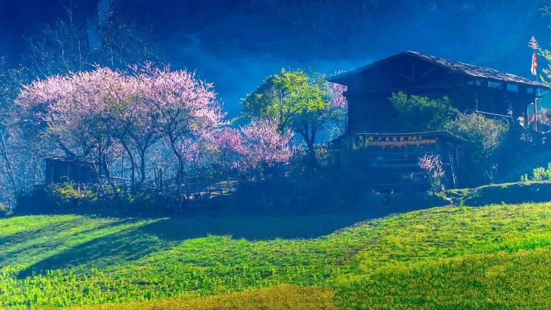 宝宝修车店